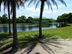 Bosque da Barra Rio de Janeiro | Check-in: Rio de Janeiro: Bosque da Barra