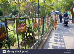 Cafe Toscano Mexico City | Local woman, Saturday Bazaar in San Jacinto Plaza, San Angel ...