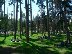 Cathédrale Notre Dame de Paris Paris | Bois de Boulogne | European Trips