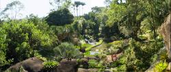 Sítio Burle Marx Rio de Janeiro | Notícia: Sítio Roberto Burle Marx (RJ) promove agenda especial ...