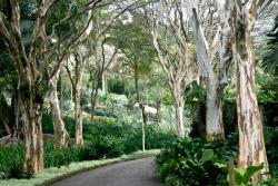 Sítio Roberto Burle Marx Rio de Janeiro | Sitio Roberto Burle Marx | Menina na Rio