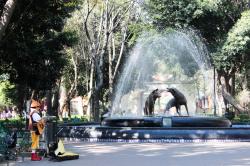 Torre Mayor Mexico City | Coyoacán (semblanzas) | Bici-tando la Ciudad de México