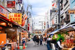 Yoyogi-kōen Tokyo | tsukiji market + tokyo tower | The Style Scribe