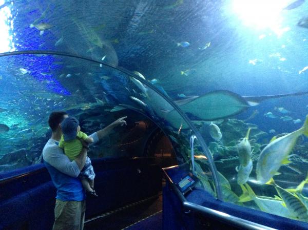 Aquaria KLCC Kuala Lumpur