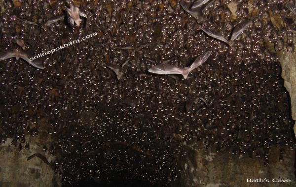 Bat Cave Pokhara