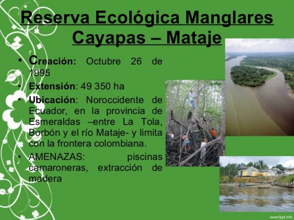 Reserva Ecológico de Manglares Cayapas-Mataje San Lorenzo
