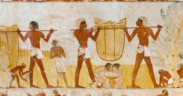 Tomb of Ipuy Luxor