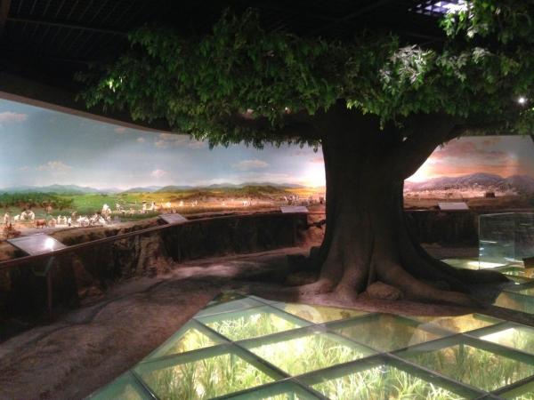 Agriculture Museum Seoul