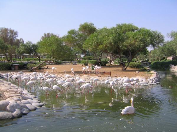 Al Areen Wildlife Park & Reserve Al Areen