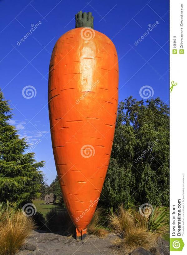 Big Carrot Ohakune