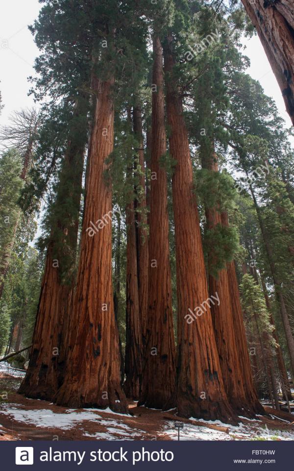 Cedar Grove Visitor Center Sequoia and Kings Canyon National Parks