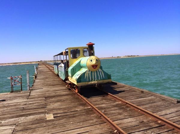 Coffee Pot Train Carnarvon