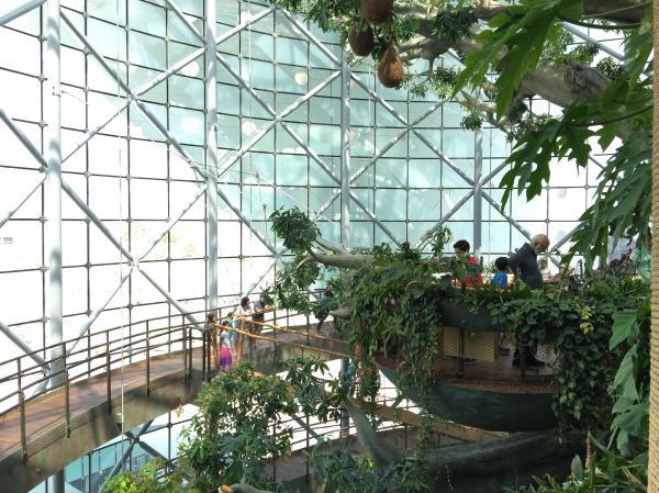 Green Planet Dubai