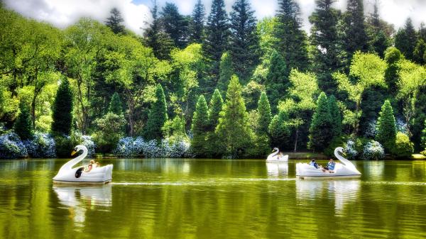 Lago Negro Gramado