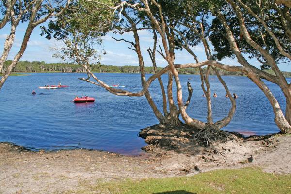 Lake Ainsworth Lennox Head