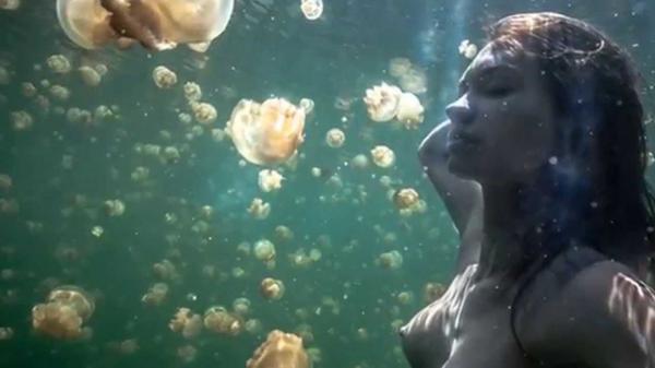 Palau Aquarium Koror