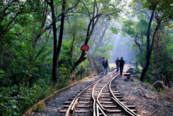 Sanjay Gandhi National Park Mumbai