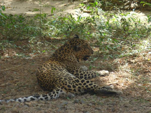 Sanjay Gandhi National Park Mumbai