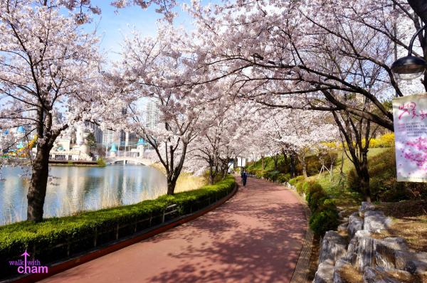 Seokchon Lake Park Seoul