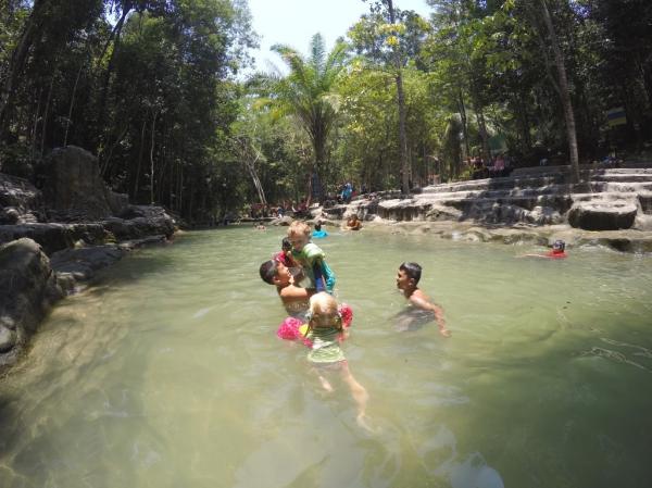 Teluk Bahang Forest Reserve Teluk Bahang