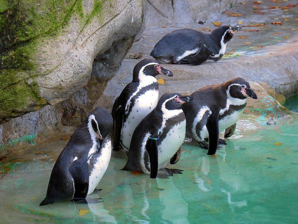 Tierpark Hagenbeck Hamburg