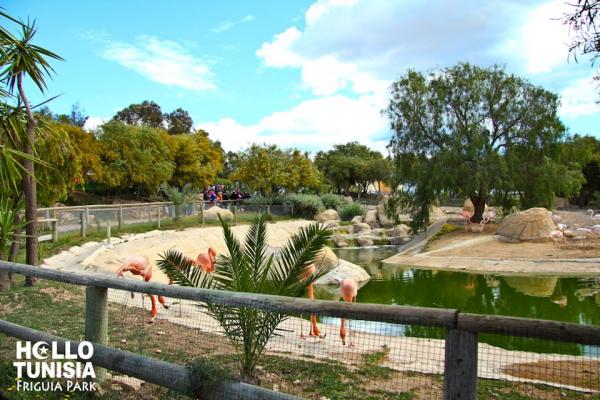 Tunis Zoo Tunis