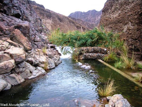 Wadi Wurayah UAE East Coast