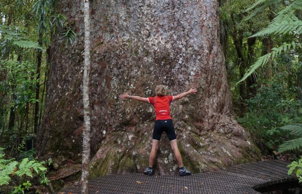 Tane Mahuta Waipoua Forest