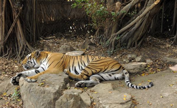 Zoologico el Pantanal Guayaquil